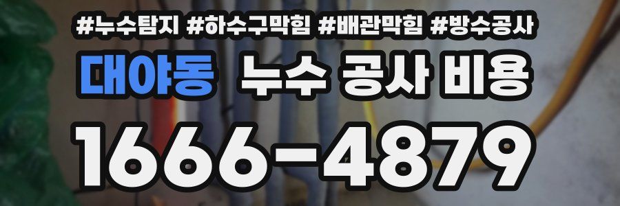 대야동 누수 공사 비용