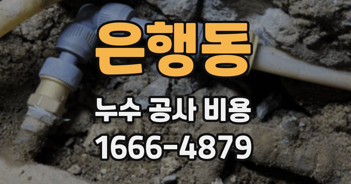 은행동 누수 공사 비용