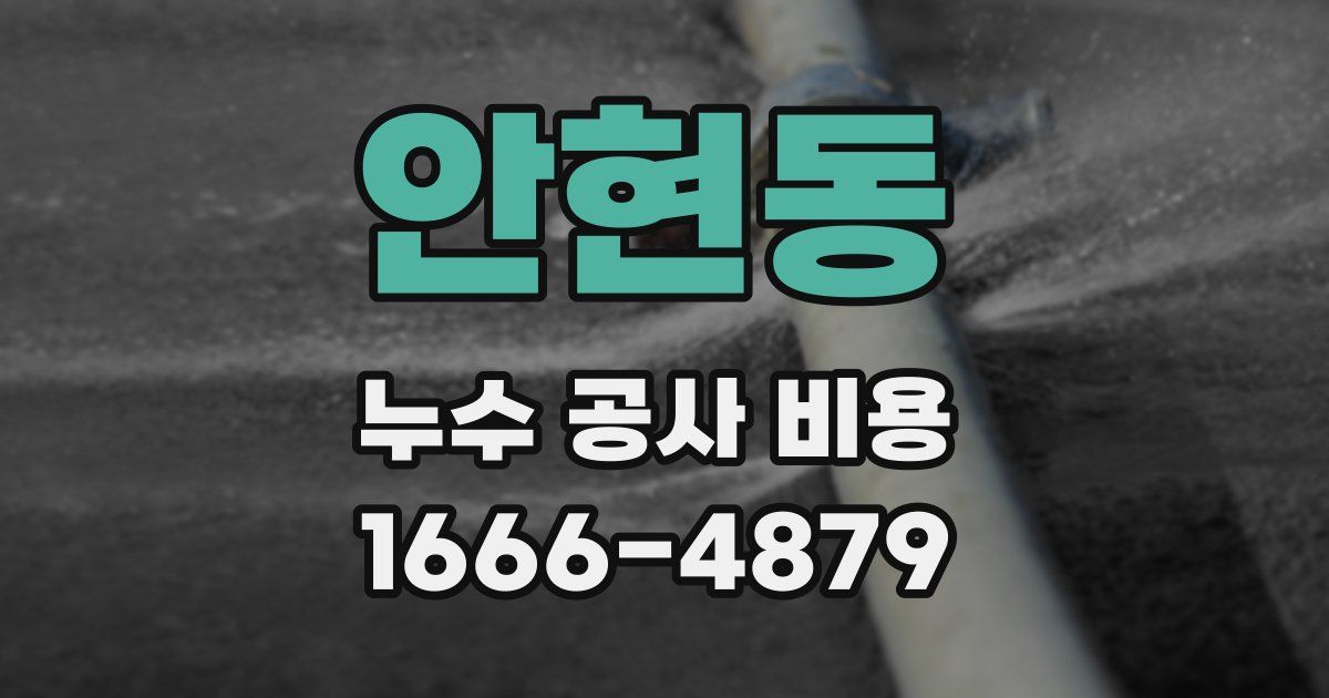 안현동 누수 공사 비용