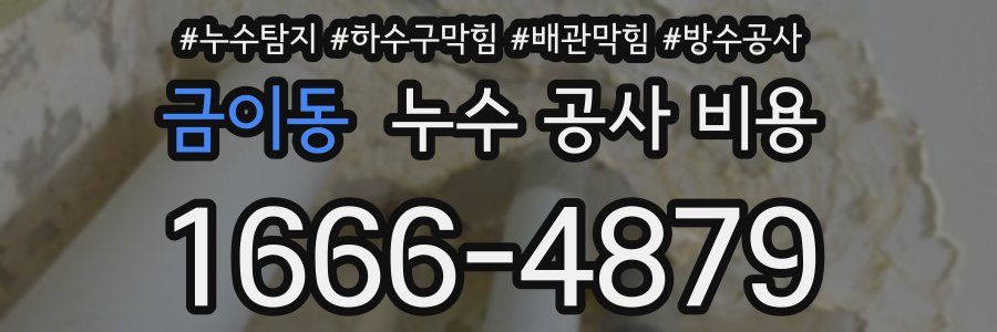 금이동 누수 공사 비용
