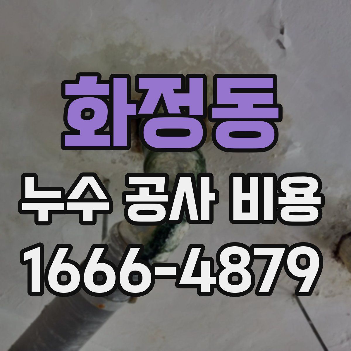 화정동 누수 공사 비용