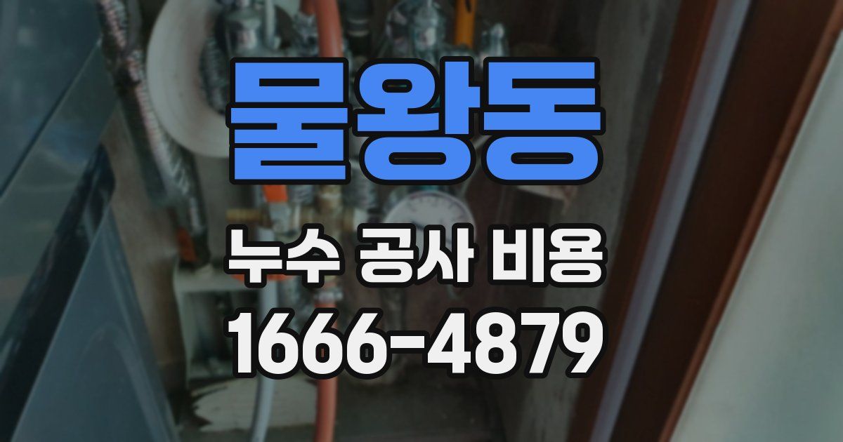 물왕동 누수 공사 비용
