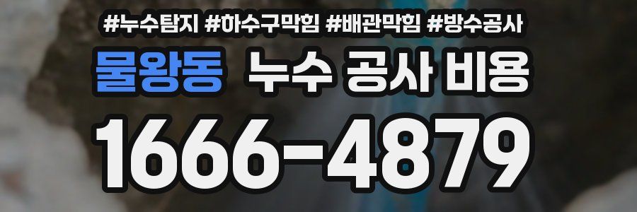 물왕동 누수 공사 비용