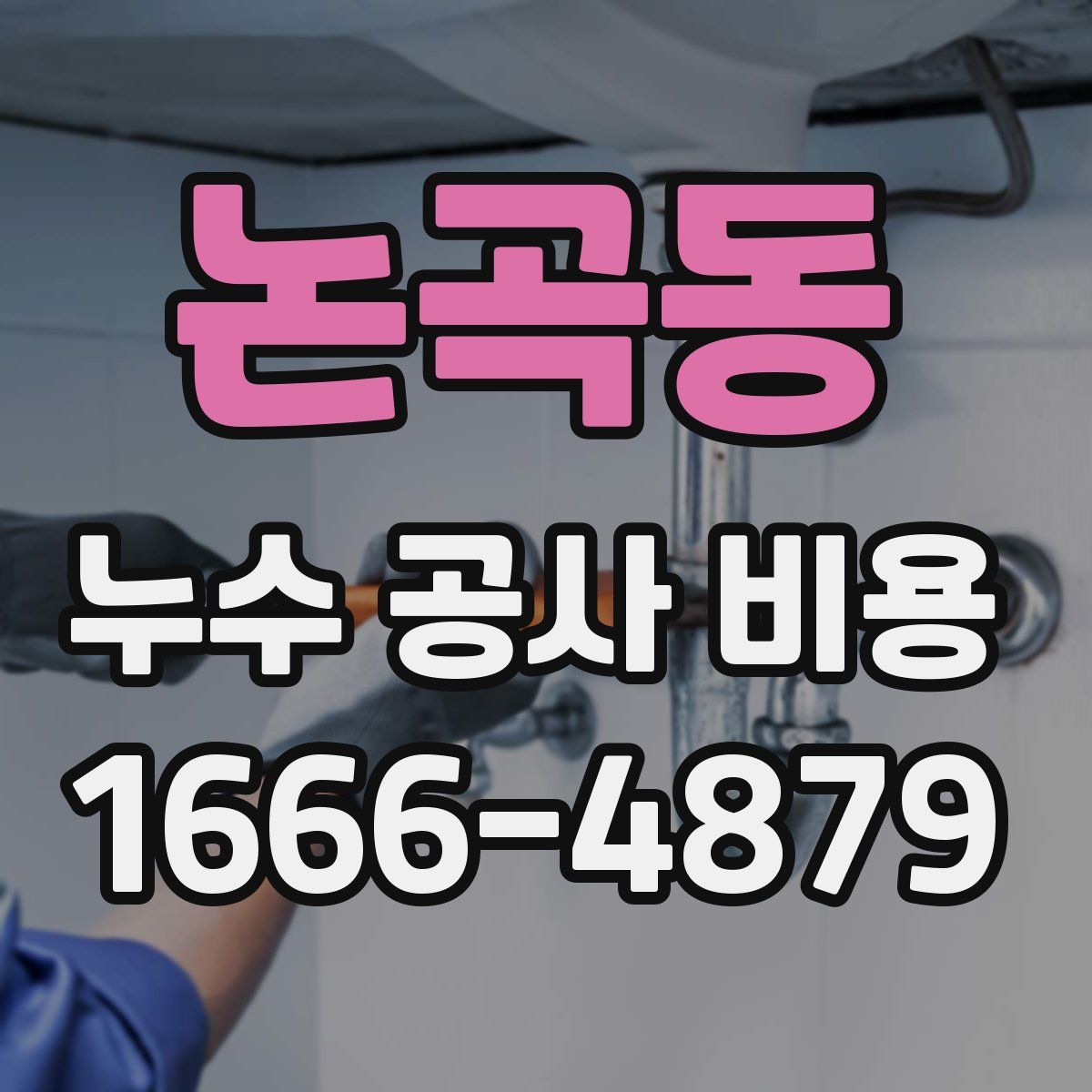논곡동 누수 공사 비용