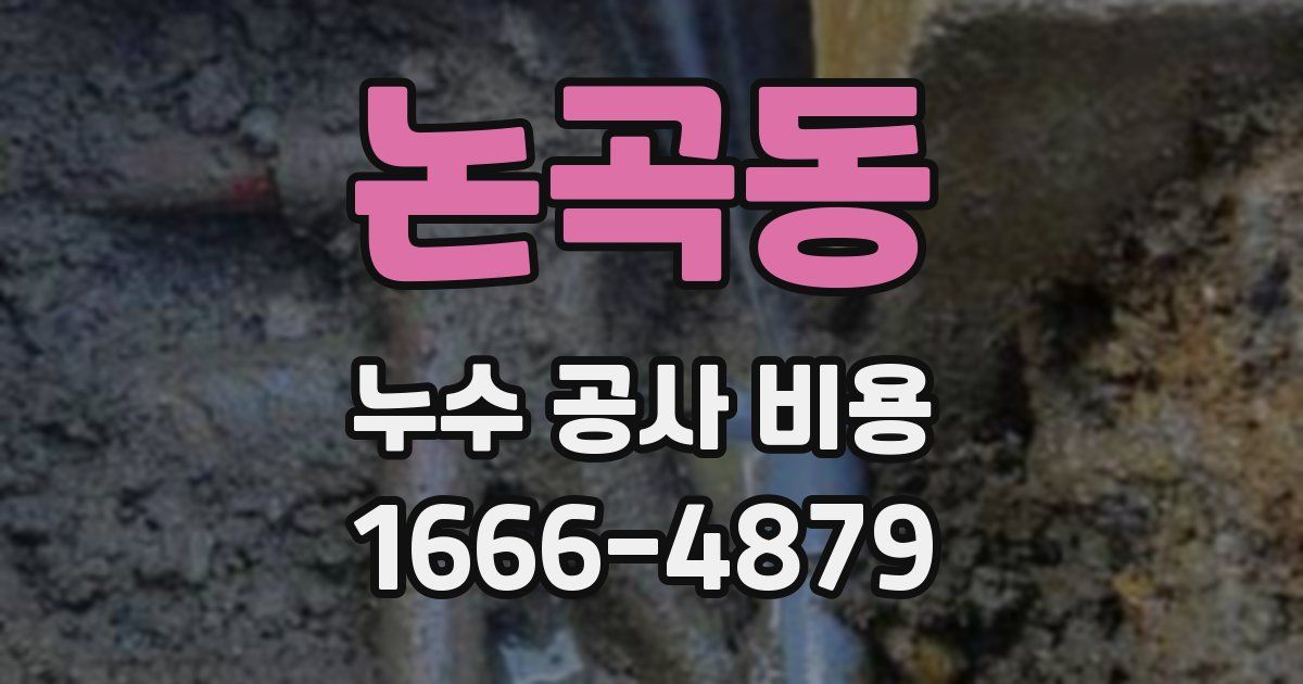 논곡동 누수 공사 비용