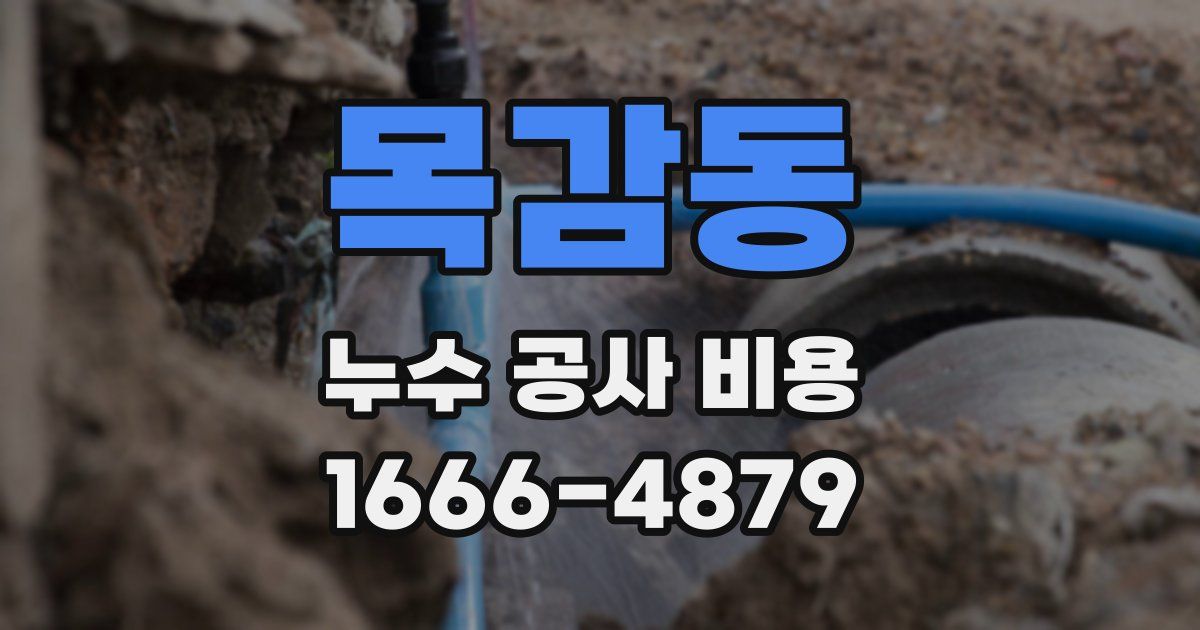 목감동 누수 공사 비용