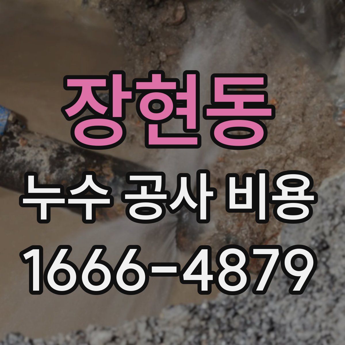 장현동 누수 공사 비용