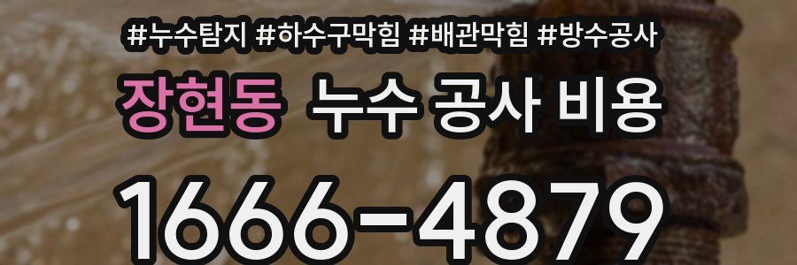 장현동 누수 공사 비용