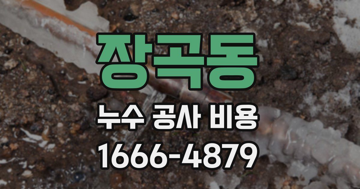장곡동 누수 공사 비용