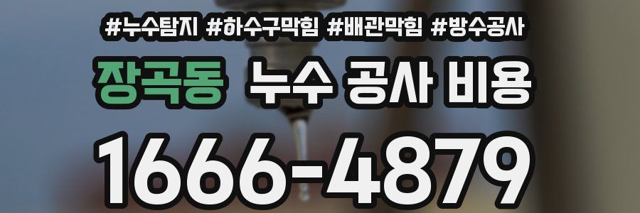 장곡동 누수 공사 비용