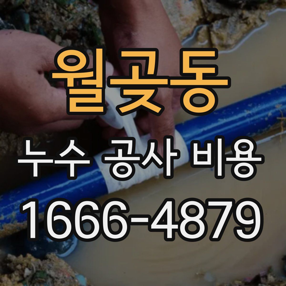 월곶동 누수 공사 비용