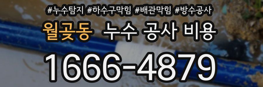 월곶동 누수 공사 비용