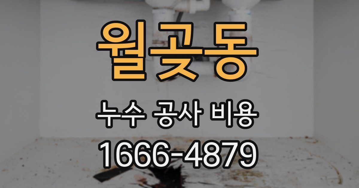 월곶동 누수 공사 비용