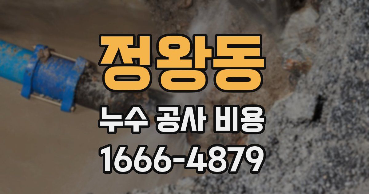 정왕동 누수 공사 비용