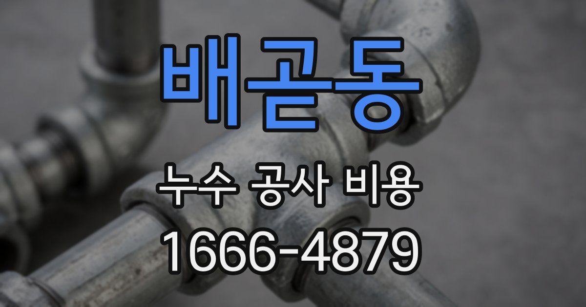 배곧동 누수 공사 비용