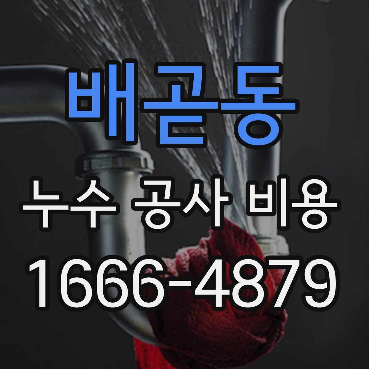 배곧동 누수 공사 비용