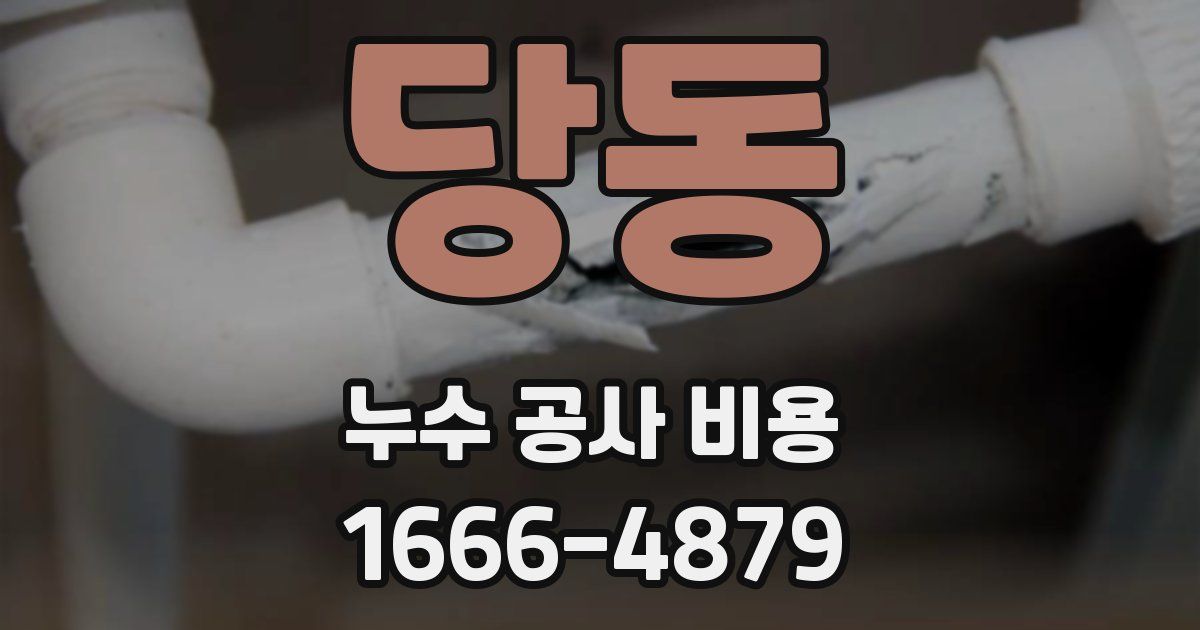 당동 누수 공사 비용