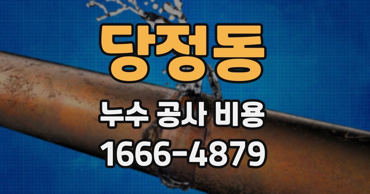 당정동 누수 공사 비용