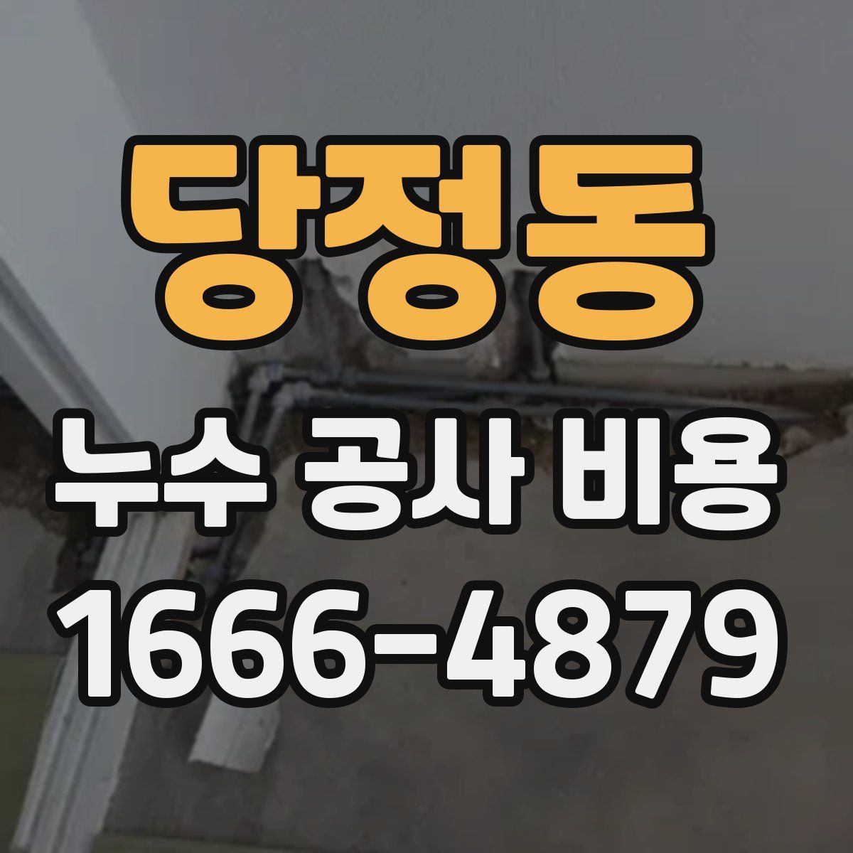당정동 누수 공사 비용