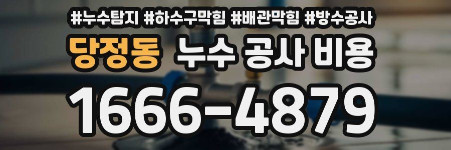 당정동 누수 공사 비용