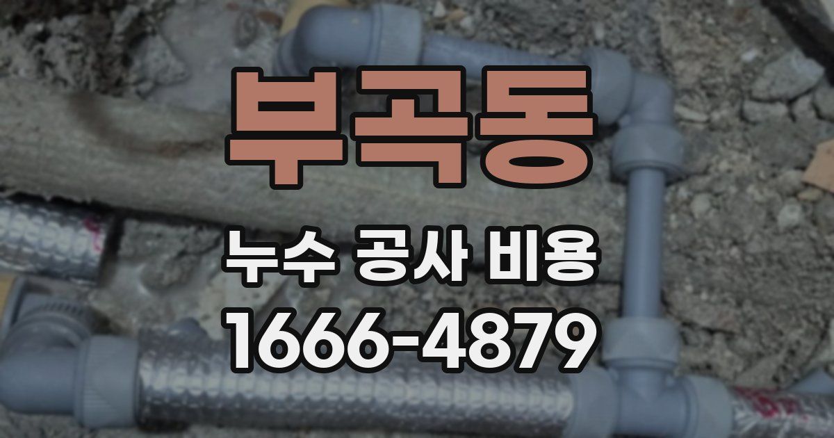 부곡동 누수 공사 비용