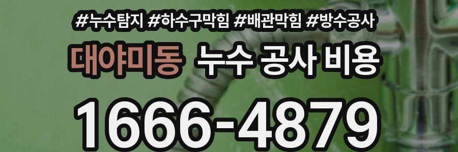 대야미동 누수 공사 비용