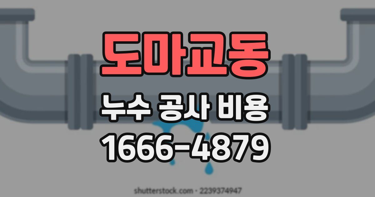 도마교동 누수 공사 비용