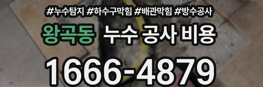 왕곡동 누수 공사 비용