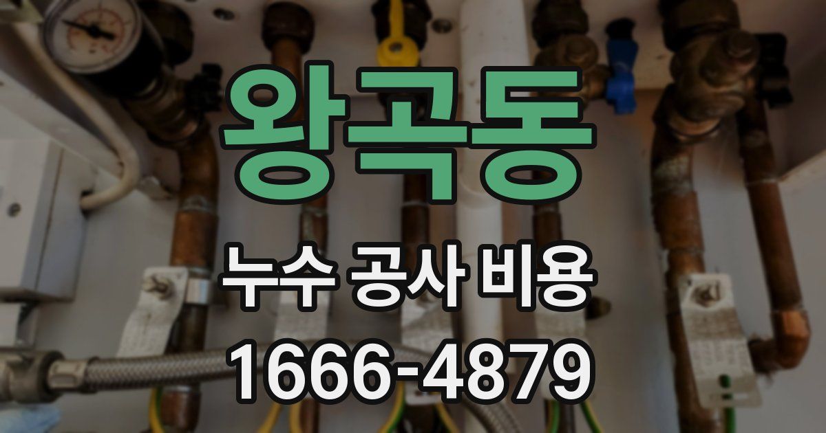 왕곡동 누수 공사 비용