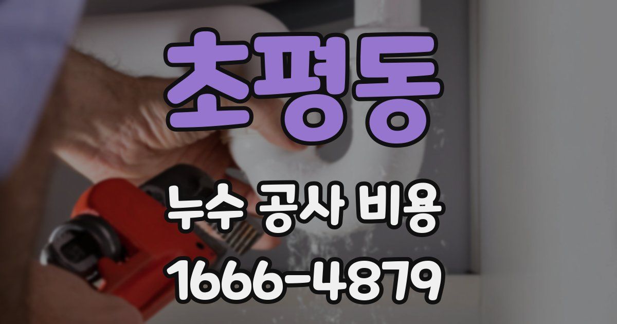 초평동 누수 공사 비용