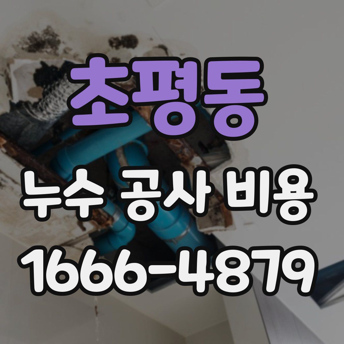 초평동 누수 공사 비용