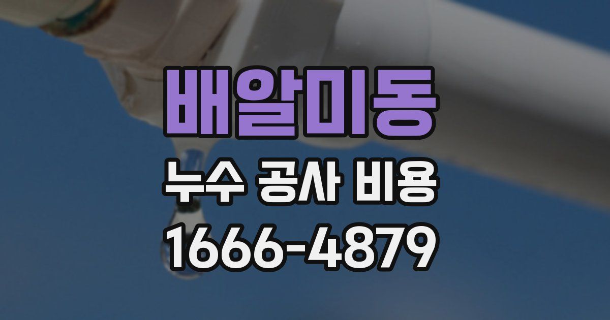 배알미동 누수 공사 비용