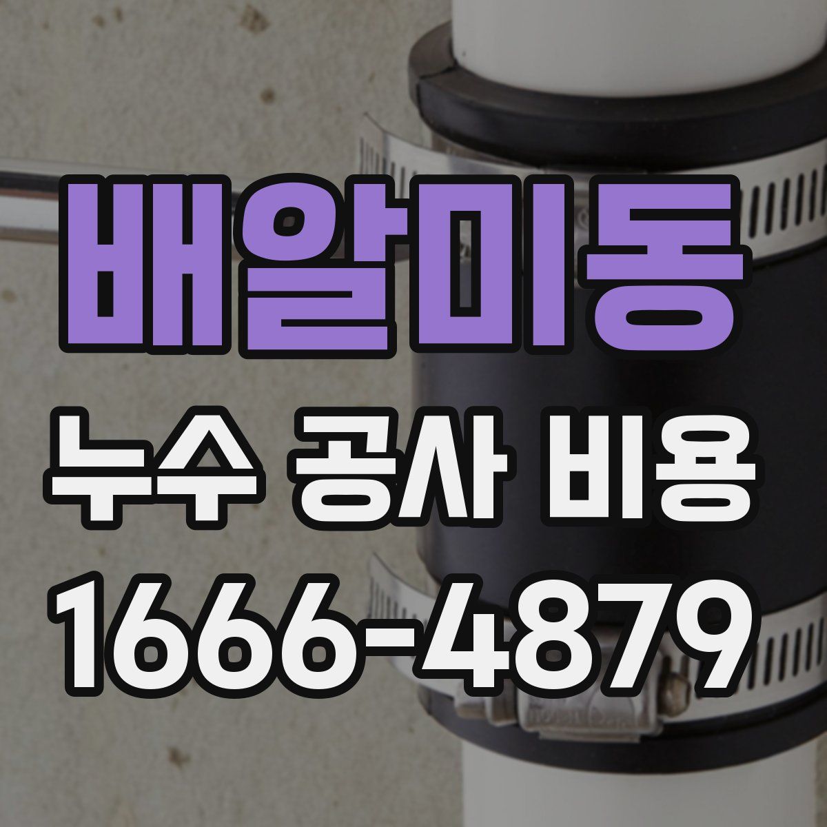 배알미동 누수 공사 비용