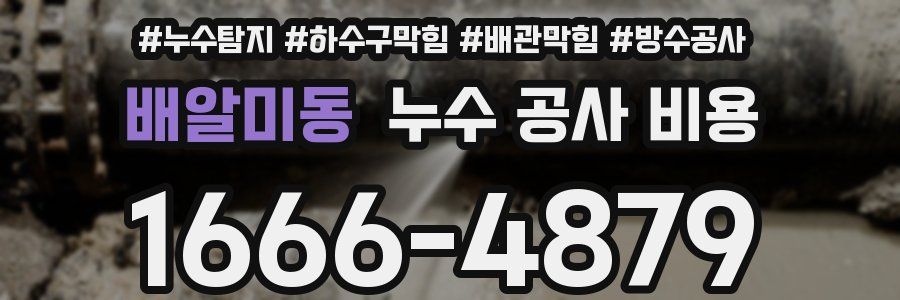 배알미동 누수 공사 비용