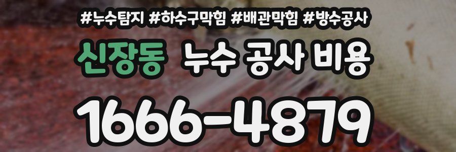 신장동 누수 공사 비용