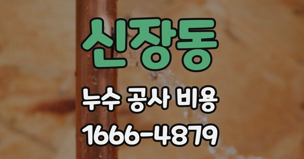 신장동 누수 공사 비용