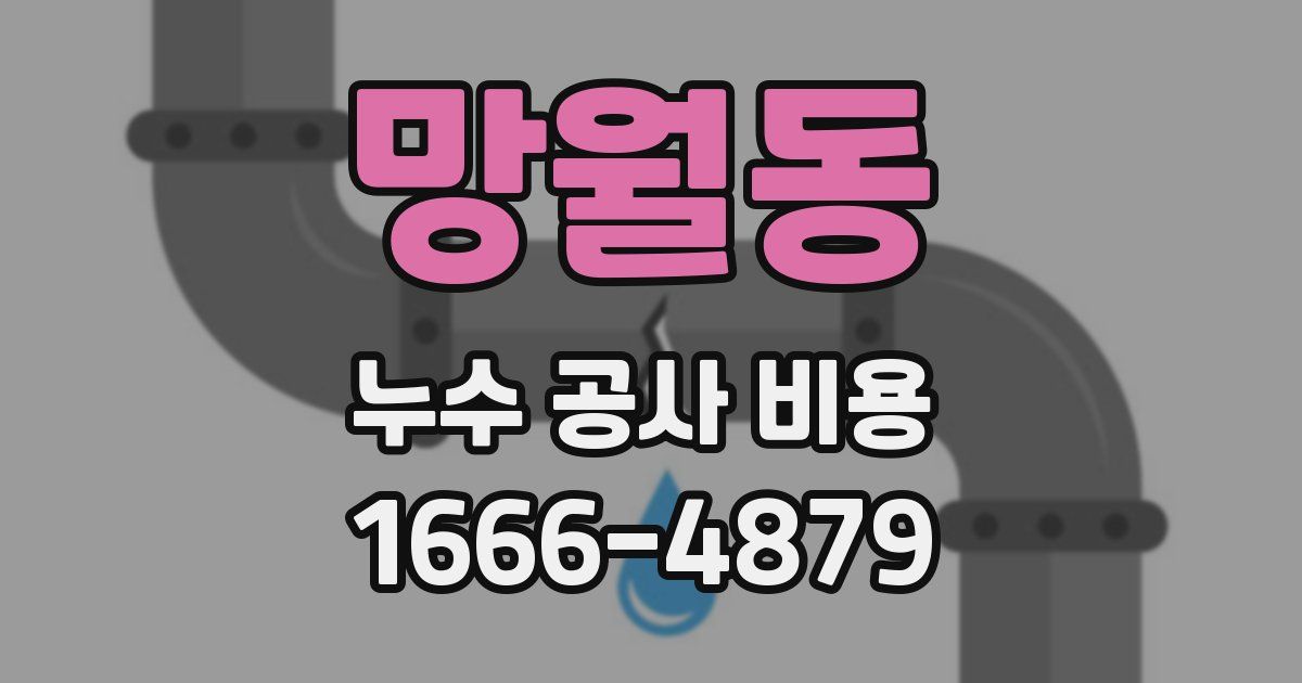 망월동 누수 공사 비용
