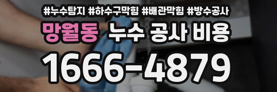 망월동 누수 공사 비용