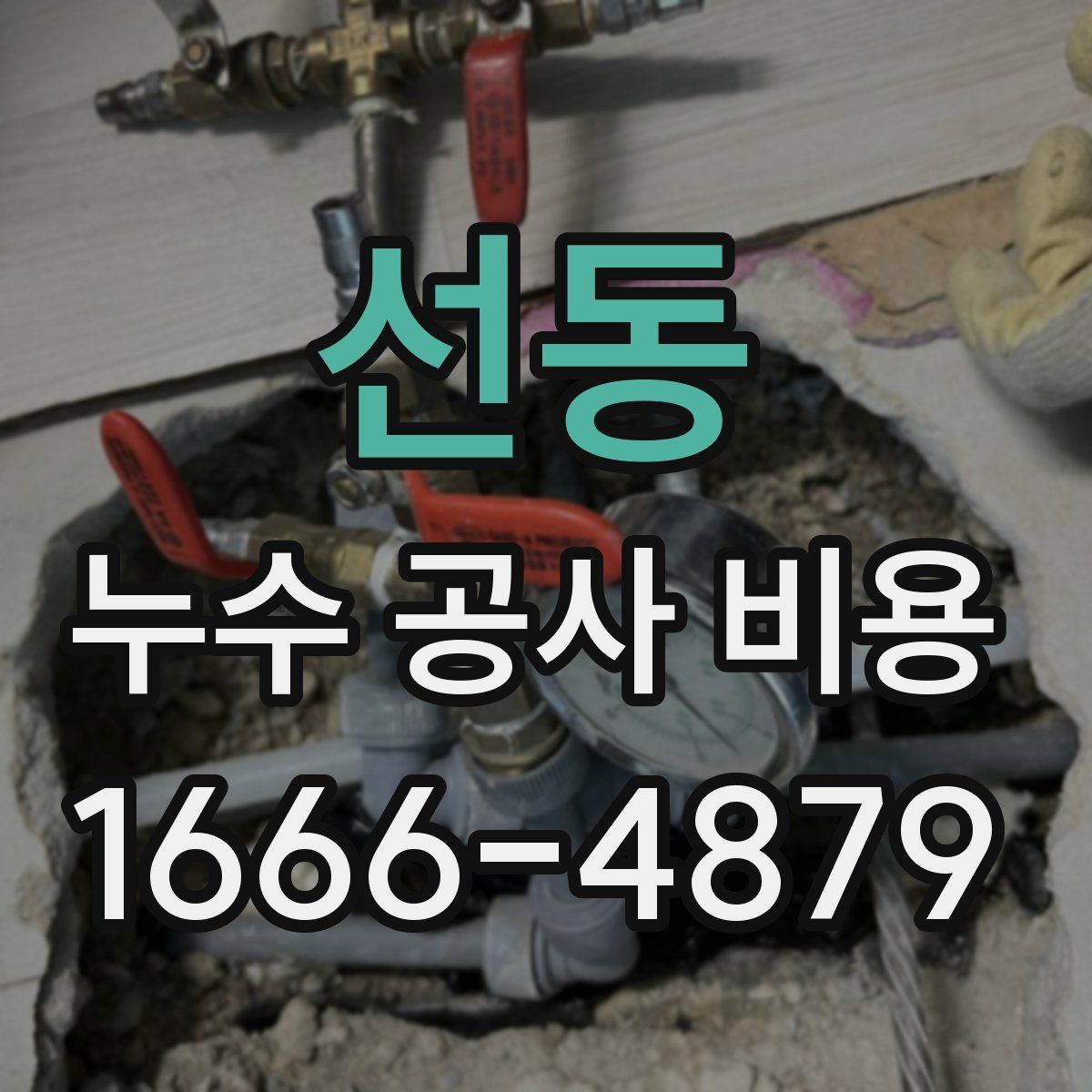 선동 누수 공사 비용