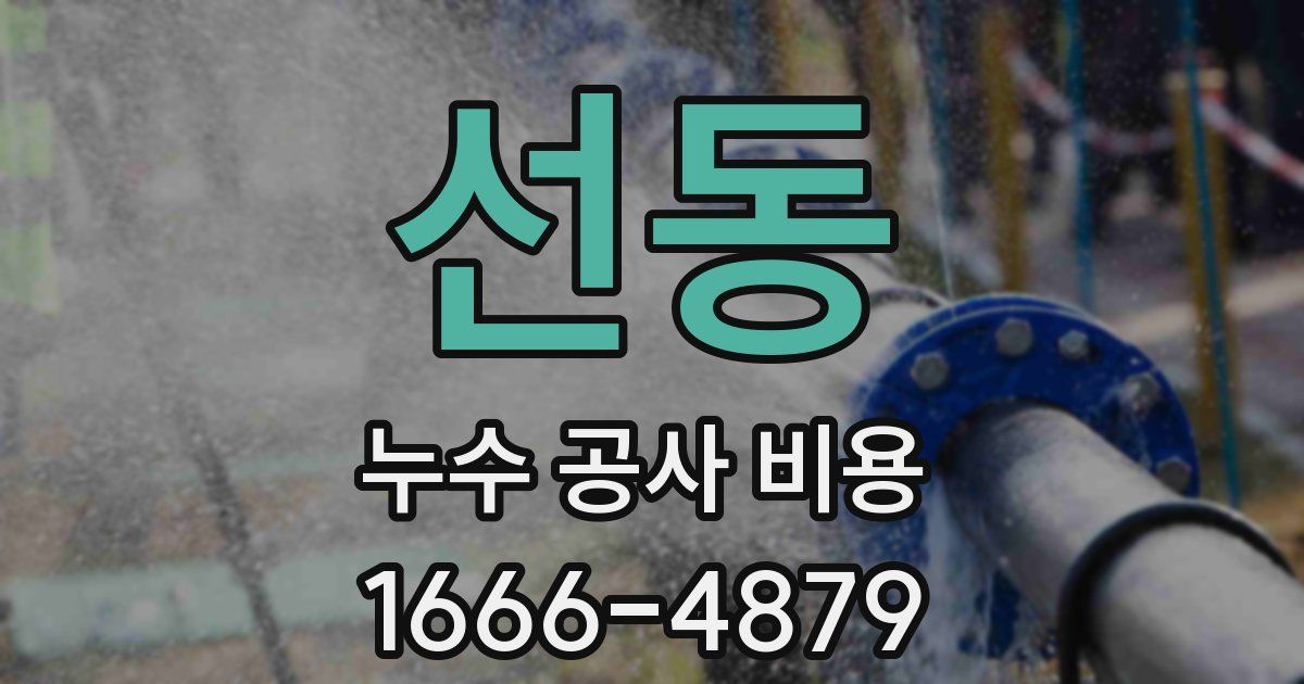 선동 누수 공사 비용