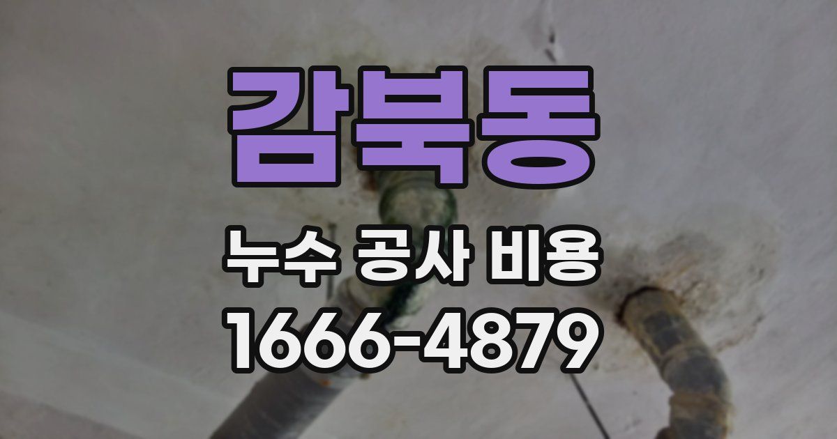 감북동 누수 공사 비용