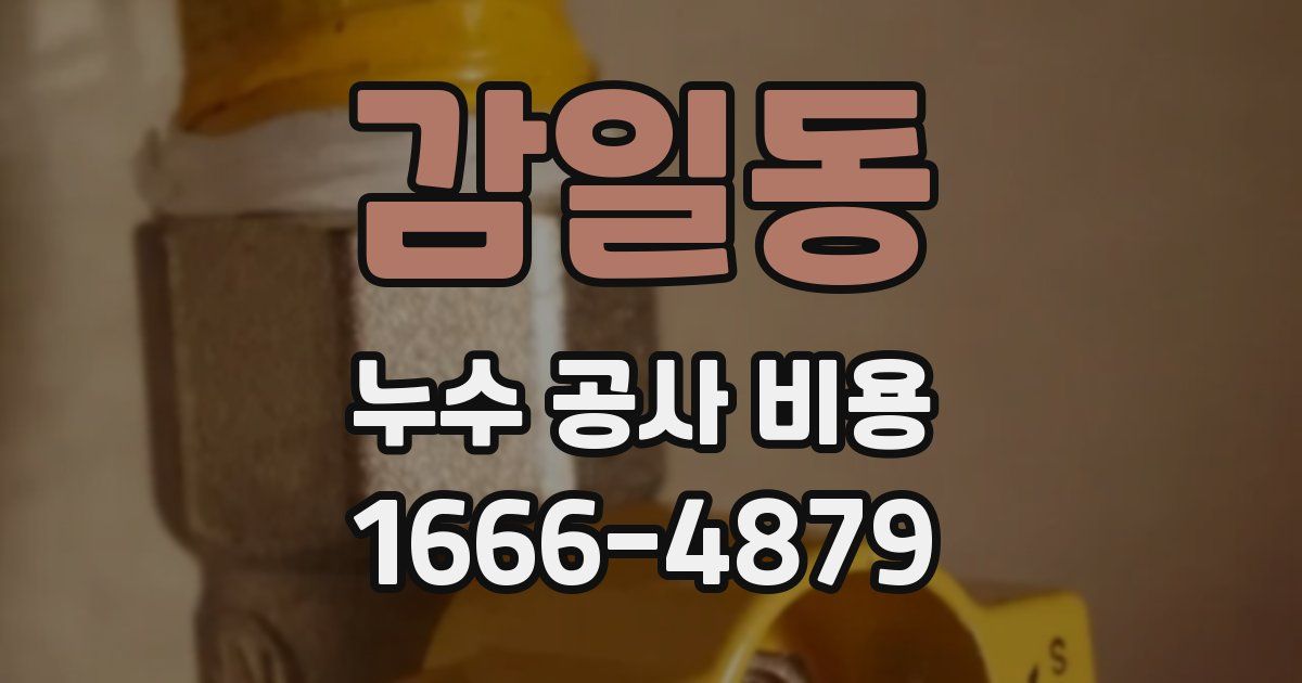 감일동 누수 공사 비용