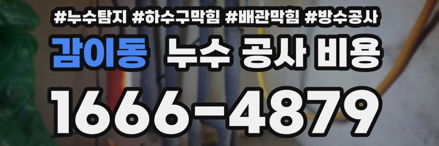 감이동 누수 공사 비용