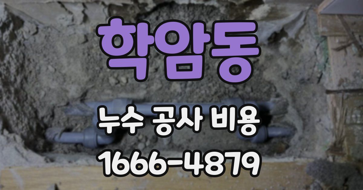 학암동 누수 공사 비용
