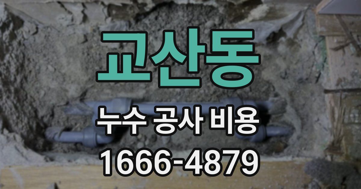 교산동 누수 공사 비용