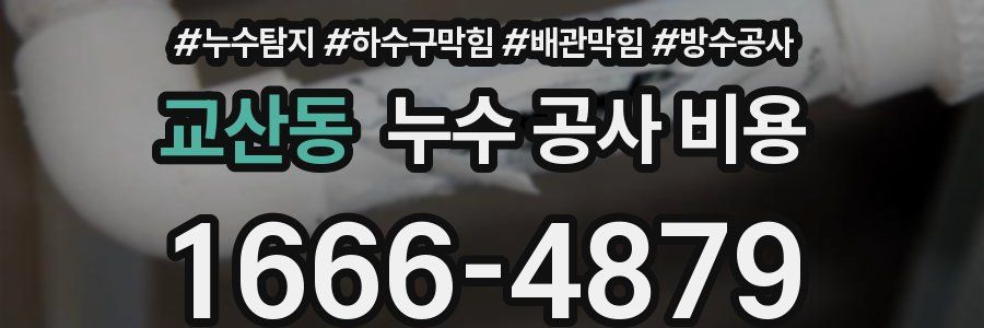 교산동 누수 공사 비용