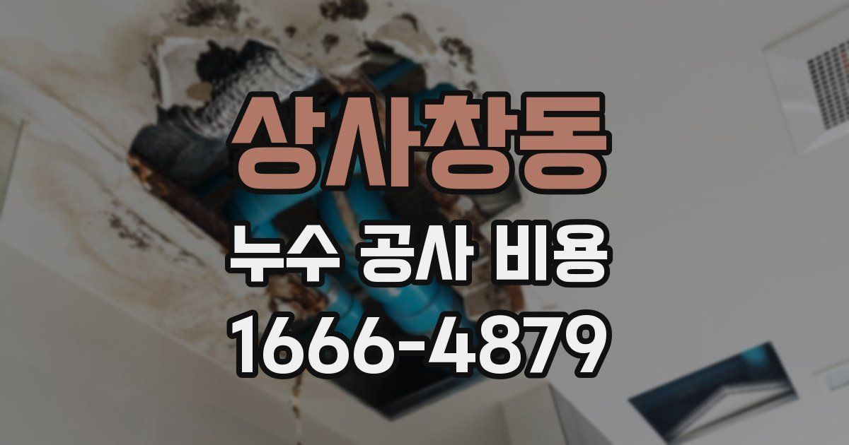 상사창동 누수 공사 비용