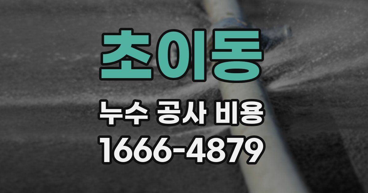 초이동 누수 공사 비용
