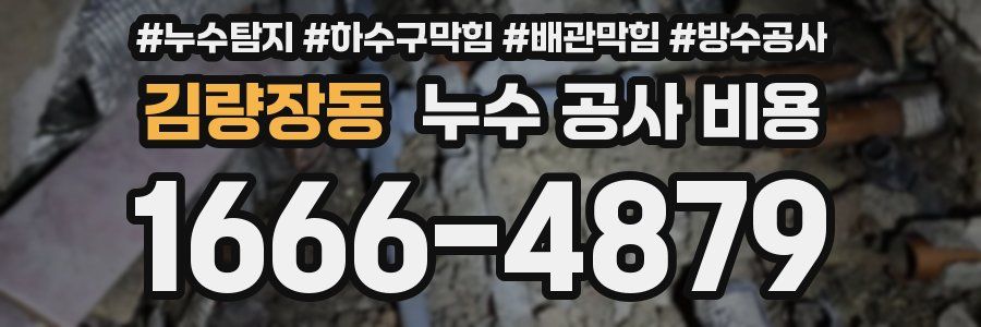 김량장동 누수 공사 비용