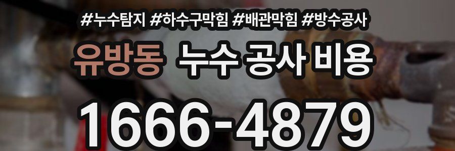 유방동 누수 공사 비용